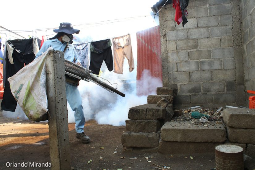 FUMIGAR